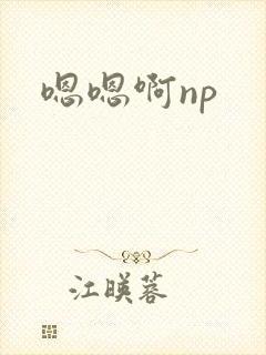 嗯嗯啊np