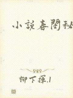 小说春闺秘史