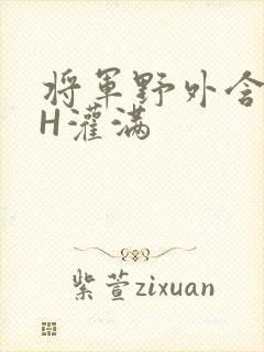 将军野外含公主H灌满