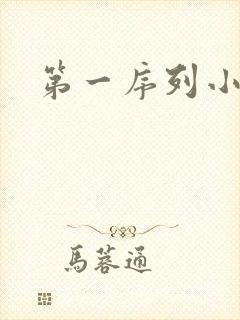 第一序列小说
