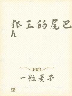 狐王的尾巴高ah