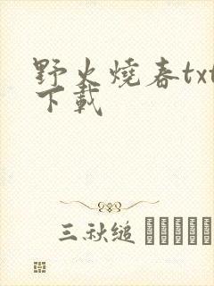 野火烧春txt下载