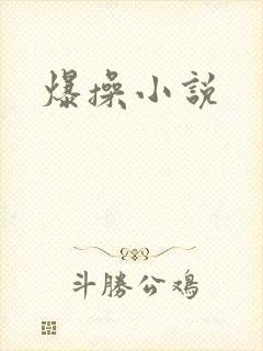爆操小说