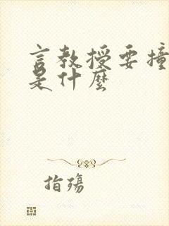 言教授要撞坏了是什么