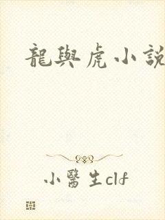 龙与虎小说
