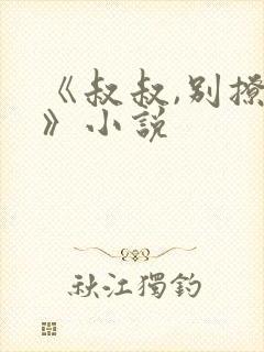 《叔叔,别撩我》小说