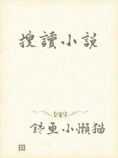 搜读小说