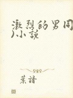 激烈的男同(h)小说