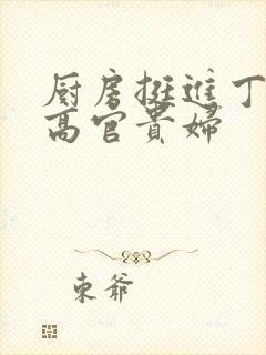 厨房挺进丁字裤高官贵妇