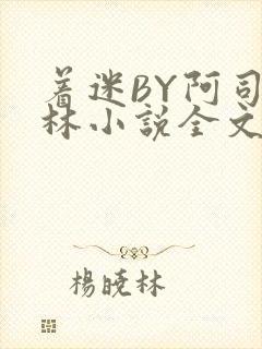 着迷BY阿司匹林小说全文免费阅读