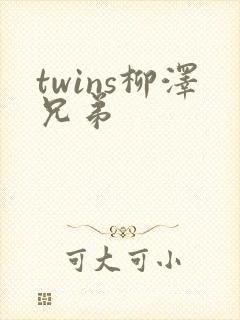 twins柳泽兄弟