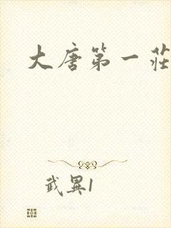大唐第一庄