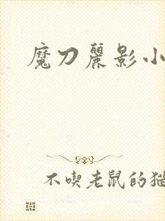 魔刀丽影小说