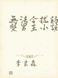 无法合拢的总裁双男主小说