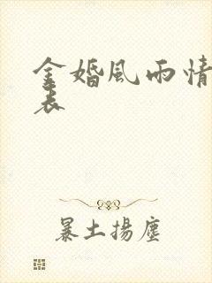 金婚风雨情演员表