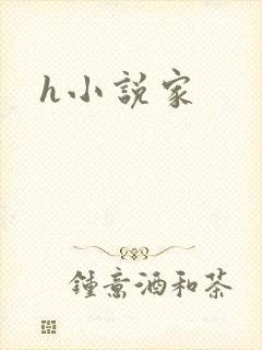h小说家