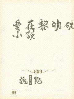 爱在黎明破晓前小说