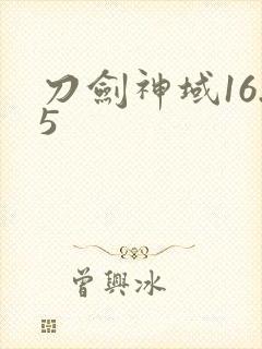 刀剑神域16.5