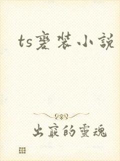 ts变装小说