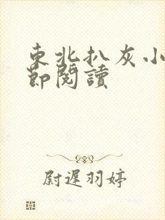 东北扒灰小说分节阅读