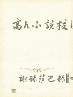 高h小说校园