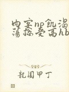 肉宴np饥渴放荡总受高hbl