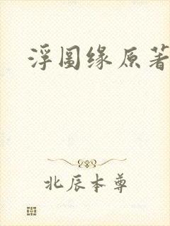 浮图缘原著小说