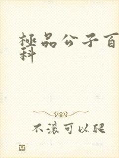 极品公子百度百科