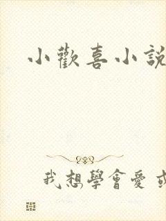 小欢喜小说