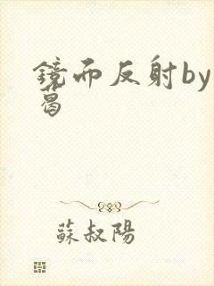 镜面反射by九葛