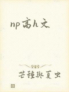 np高h文
