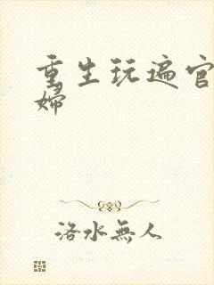 重生玩遍官场贵妇