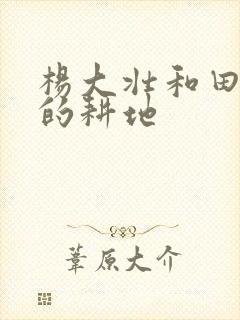 杨大壮和田桂花的耕地