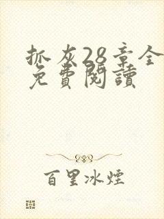 抓灰28章全部免费阅读