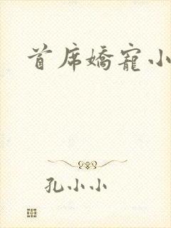 首席娇宠小情人