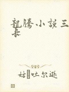 龙腾小说三宝局长