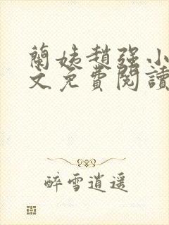 兰姨赵强小说全文免费阅读