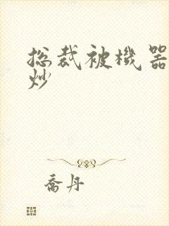 总裁被机器人爆炒