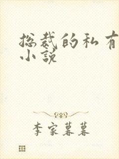 总裁的私有宝贝小说