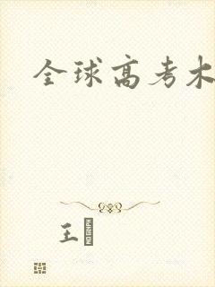 全球高考木苏里