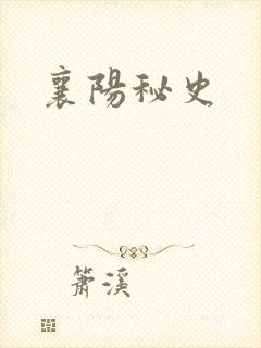 襄阳秘史