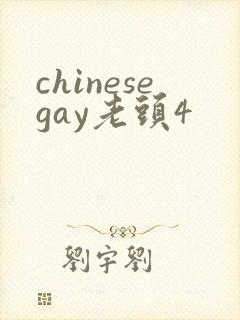 chinesegay老头4