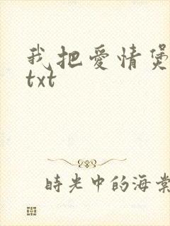 我把爱情煲成汤txt