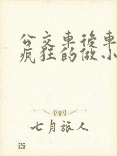 公交车后车座的疯狂的做小