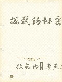 总裁的秘密情人