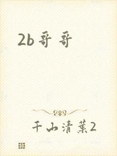 2b哥哥