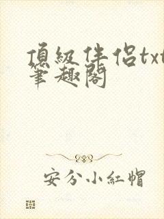 顶级伴侣txt笔趣阁