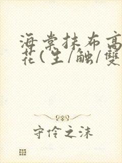 海棠抹布高岭之花(生/触/双)