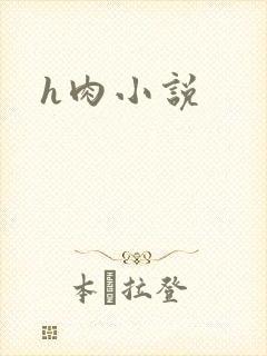 h肉小说