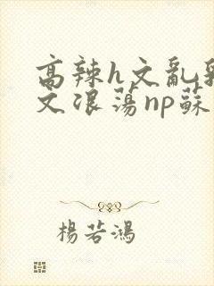 高辣h文乱乳h文浪荡np苏夏